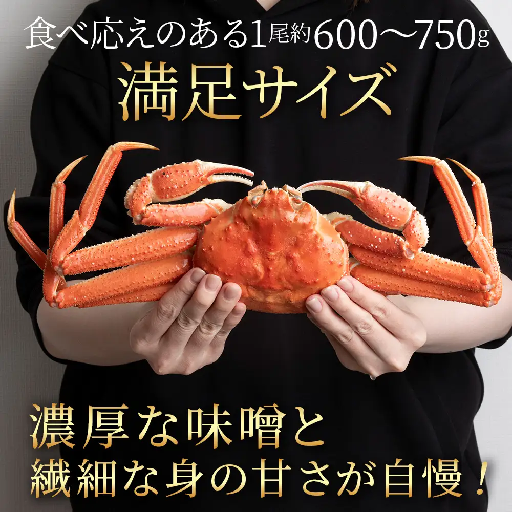 オオズワイガニ姿600ｇ～750ｇ×2尾＜超特大＞ AM189