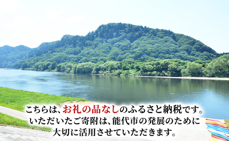 【返礼品なし】秋田県能代市への寄付 応援 支援 寄附のみ 10,000円【能代市ふるさと納税】