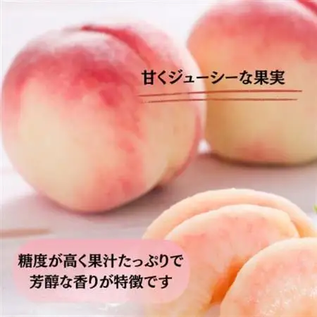 【発送月固定定期便】 旬のフルーツ定期便 桃900g・シャイン500g全2回【配送不可地域：離島・沖縄県】【4078906】