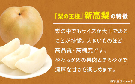 梨 2kg（新高）梨 なし [AGBD001]