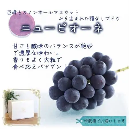 岡山　花笑み農園の『ニューピオーネ』500g以上 (中1房) P-中1【配送不可地域：離島】【1695400】