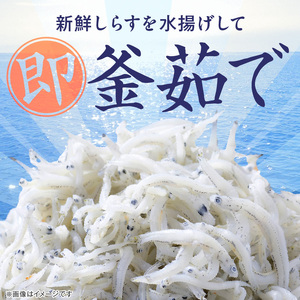 訳あり モリモリ2kg！バラエティ豊富な三河しらす～海の仲間たち～ 魚介類 しらす シラス 国産 海の幸 ご飯のお供 おつまみ しらす丼 グルメ やみつき 冷凍　H018-040
