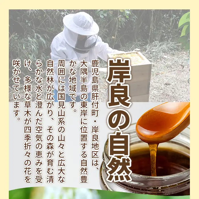 【A96001】日本ミツバチ 生百花 蜂蜜(約350g) 鹿児島 国産 九州産 蜂蜜 ハチミツ はちみつ 生はちみつ 日本ミツバチ ハニー 天然100％ 非加熱 無添加 蜜 日本ミツバチ 生はちみつ 生蜂蜜 トースト ハニートースト ヨーグルト【ハニー工房　蜜乃蔵】