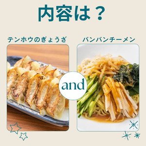 ぎょうざ1袋[56粒] / バンバンチーメン 1袋セット / テンホウ 餃子 ラーメン 信州 長野県 諏訪市 諏訪 [21-27]