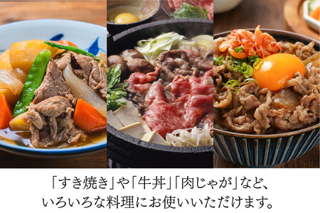 【スピード発送】佐賀牛 贅沢 切り落とし 1.5kg(500g×3)【A4～A5ランク】(H085209)