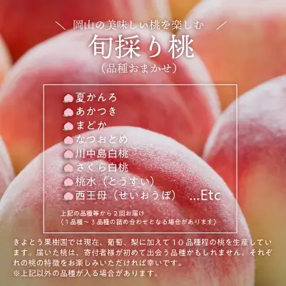 旬の桃の食べ比べを楽しむ、桃の２回便！(定期便) (岡山県産)【KF-T025-01】