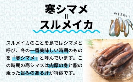 旨味たっぷり！旬の朝どれ寒シマメ（スルメイカ）丸ごと5～6本（1kg以上）＜便利な個包装＞お歳暮 お正月