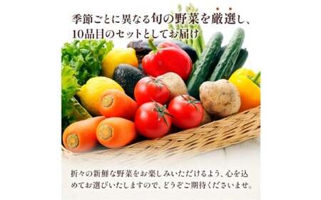 【 6ヶ月 連続 定期便 】 熊本県 10品目 野菜 セット 6ヶ月 定期便 フレッシュ 新鮮 野菜 青果 サラダ おまかせ お任せ 厳選 お楽しみ ランダム 冷蔵