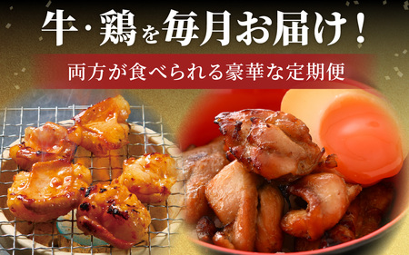 【6ヶ月定期便】前田かしわ店 鶏 牛ホルモン おすすめセット [H-019001]