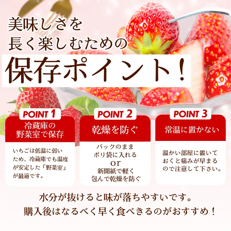 いちご 1kg 紅ほっぺ いちご