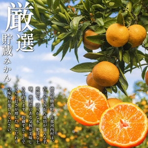 みかん 訳あり 10.2kg みかん