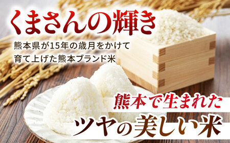 令和7年産くまさんの輝き白米10kg(5kg×2)熊本白米ZBI035