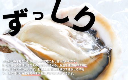 【海士のいわがき】殻付き LLサイズ 12個 岩牡蠣 生食可 新鮮クリーミー 冷凍 牡蛎 牡蠣 かき カキ 岩牡蠣 いわがき CAS CAS冷凍 父の日 母の日 バーベキュー ギフト