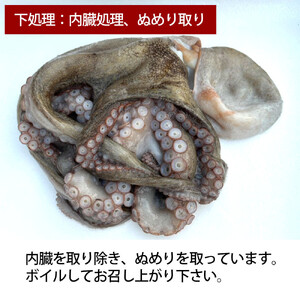 活き締め真たこ1ぱい約1kg　レシピ付き 蛸 生 刺身