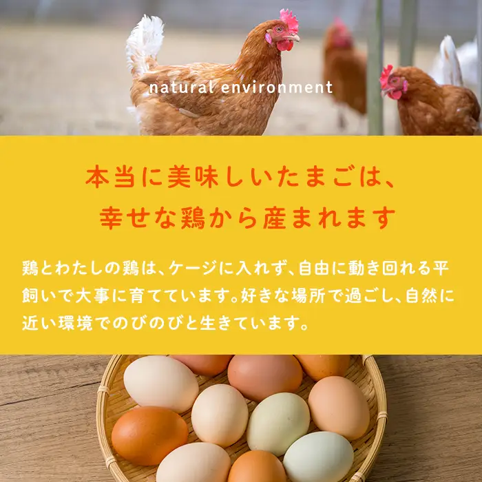 鶏とわたしの平飼い玉子 30個(10個入り×3パック) たまご 卵 卵焼き 生卵 ゆで卵 卵かけごはん 鶏卵 鶏 平飼い 【鶏とわたし】tm545