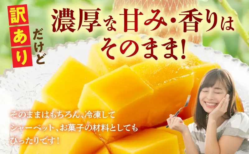 訳あり 宮崎県産 完熟マンゴー 合計約1.5kg（3～5玉）