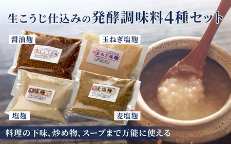 【国産生麹使用】 発酵調味料 4点セット 塩麹・麦塩麹・醤油麹・玉ねぎ塩麹 各200〜250g