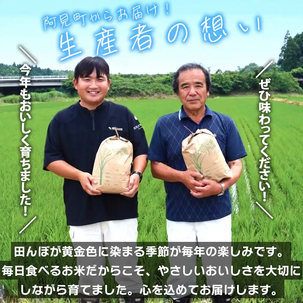 米 にじのきらめき 精米 5kg 令和7年産 茨城県産 お米 こめ コメ ごはん 白米 ニジノキラメキ 茨城県産米 単一米 単一原料米 安心 安全 送料無料 国産 人気 数量限定 高評価（85-106）