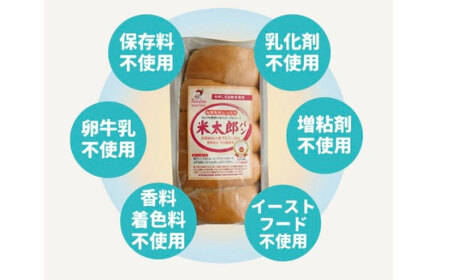 パン お米のドライフルーツ入りバゲット 4本[BACW023] パン
