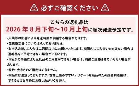 ご家庭用 シャインマスカット 3～5房 （2kg以上） 【2026年8月下旬から10月上旬頃発送予定】 ／ くだもの 果物 果実 フルーツ ぶどう ブドウ 葡萄 マスカット 冷蔵 岡山県 美咲町
