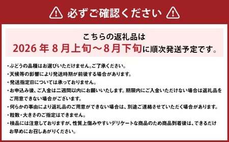 おまかせぶどう 3品種 詰め合わせ 2kg（3～6房） 【2026年8月上旬から8月下旬頃発送予定】 ／ くだもの 果物 果実 フルーツ ブドウ 葡萄 マスカット 冷蔵 岡山県 美咲町