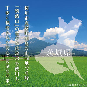 筑波山麓・羽鳥の沢水米 コシヒカリ 精米 5kg【茨城県共通返礼品：桜川市】|お米 米 こしひかり 茨城県 取手市（CA001）