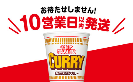 日清 カレーヌードル 10食
