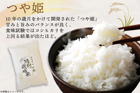 米 定期便 6回 令和8年 つや姫 5kg 6回 計30kg [渡部ファーム 山形県 高畠町 tk06ays810038] お米 白米 精米 ごはん ご飯 ブランド米