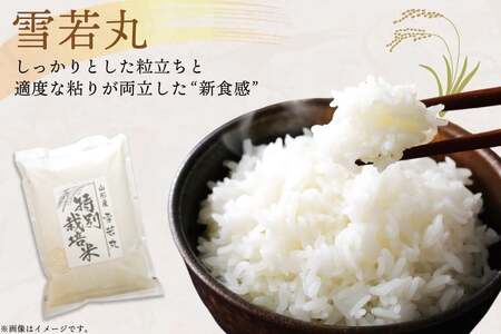 米 定期便 3回 令和8年 雪若丸 5kg 3回 計15kg [渡部ファーム 山形県 高畠町 tk06ays810049] お米 白米 精米 ごはん ご飯 ブランド米