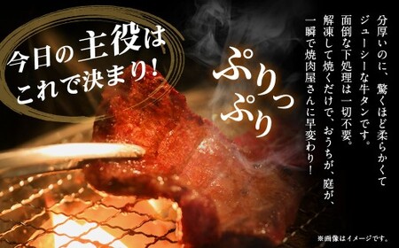  極厚の厚切りタン 1kg （500g×2パック） 塩だれ×塩だれ ／ 厚切りタン 牛タン 牛たん タン たん 牛肉 お肉 肉 厚切り 大阪府 阪南市 冷凍