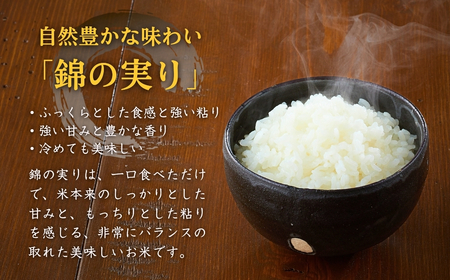 新潟産コシヒカリ 錦の実り Aランク 20kg | 5キロ×4回 定期便 新潟県 小千谷市 ブランド認証 令和7年