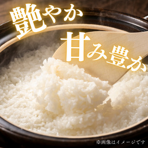 東庄町産　コシヒカリ　精米　5kg / 米 こめ コメ お米 おこめ コシヒカリ こしひかり 令和7年 白米 精米 ごはん 5kg 千葉県 東庄町 送料無料