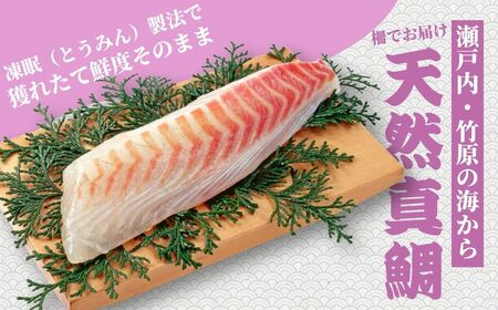 瀬戸内「天然」真鯛 お刺身用 500g 柵でお届け（急速冷凍）便利な小分け 100gパック 【鯛 マダイ タイ 鯛めし 鯛茶漬け ブロック 海鮮 魚介 即日加工 鮮度抜群 個包装 おせち 正月 正月料理】