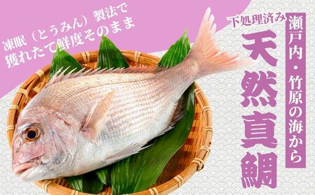 瀬戸内 天然真鯛 丸ごと姿(うろこ・内臓除去済) 2～3匹入り 合計1kg｜たい タイ 鯛 真鯛 急速冷凍 下処理済み 刺身 焼き魚 塩焼き カルパッチョ【お正月 おせち お食い初め 百日祝い 祝い事におすすめ】