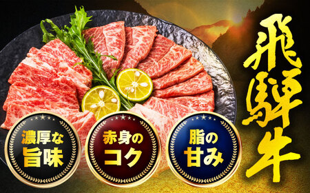 飛騨牛 焼肉用(カルビ) 300g 【土岐市観光協会】[MHI003]