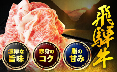 飛騨牛 切り落とし 500ｇ(250g×2パック) 【土岐市観光協会】[MHI005]