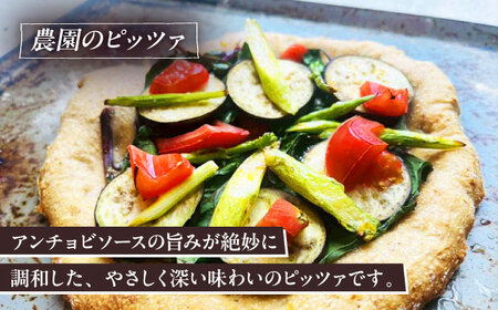 【お中元対象】【 糸島野菜 × 天然酵母 】 人気 全粒粉ピッツァ 贅沢 食べ比べ 3枚セット 野菜チーズ マリナーラ 糸島野菜 糸島市 / わかまつ農園[AHB059]