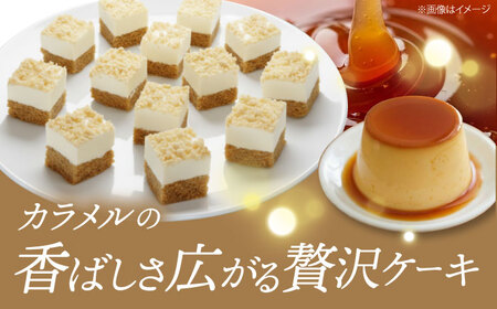 【訳あり】とろっと！プリンムース 【ファミール製菓株式会社】[AKCI026]