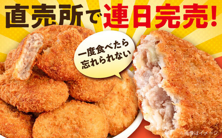 【期間限定】三浦キャベツメンチカツ 20個 1.8kg 【三富屋商事株式会社】[AKFJ108]