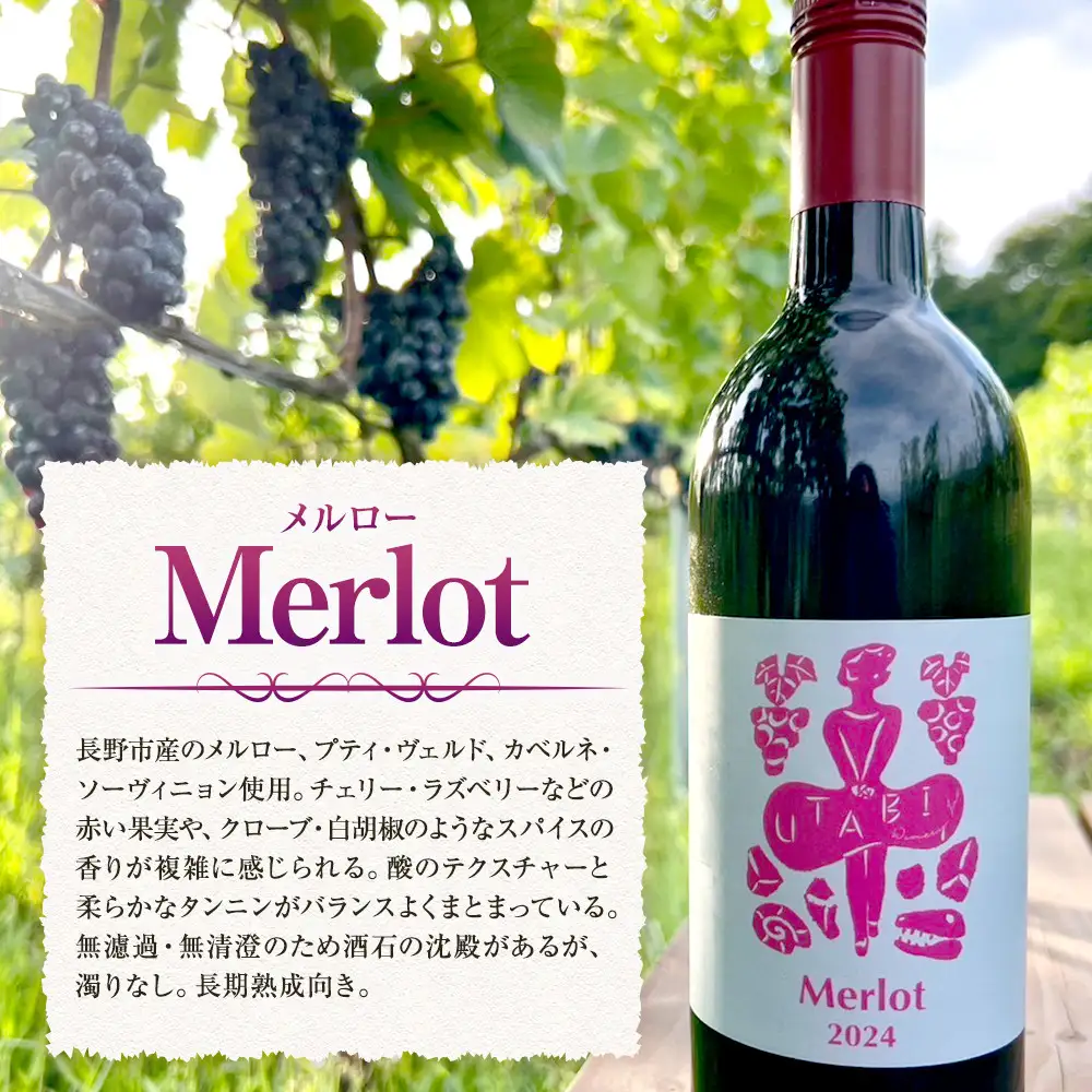 Merlot　（ワイン） |赤ワイン ぶどう 