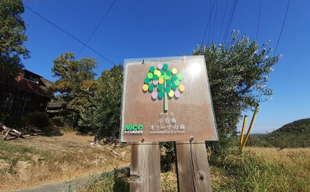 オリーブオイル 小豆島の恵み 
100％小豆島産 手摘み エキストラバージンオリーブオイル 85g×1本 ミッション