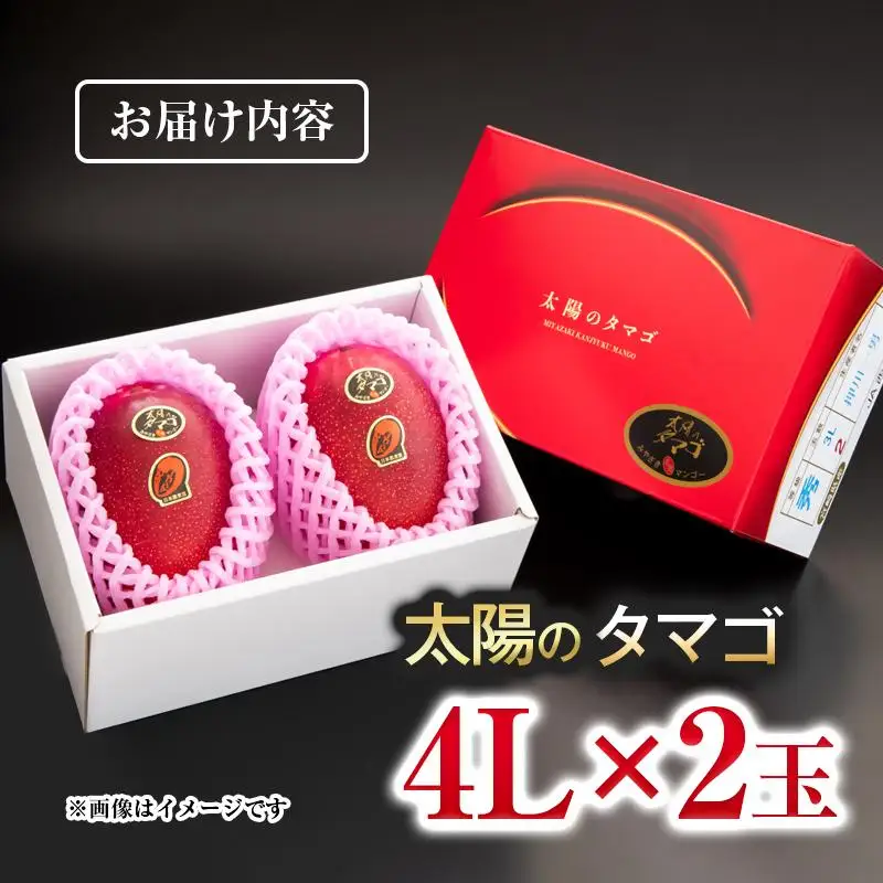 【先行予約】最高級ブランド『太陽のタマゴ』特大 4L×2個【糖度15度以上】宮崎県西都市産完熟マンゴー＜71-2a＞2026年発送