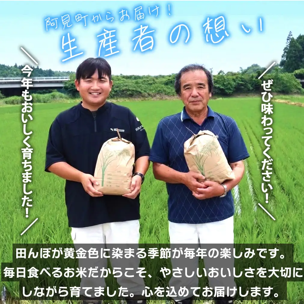 米 定期便 8ヶ月 コシヒカリ 精米 5kg 令和7年産 茨城県産 お米 こめ コメ ごはん 白米 こしひかり 茨城県産米 単一米 単一原料米 安心 安全 送料無料 国産 人気 数量限定 高評価（85-92）