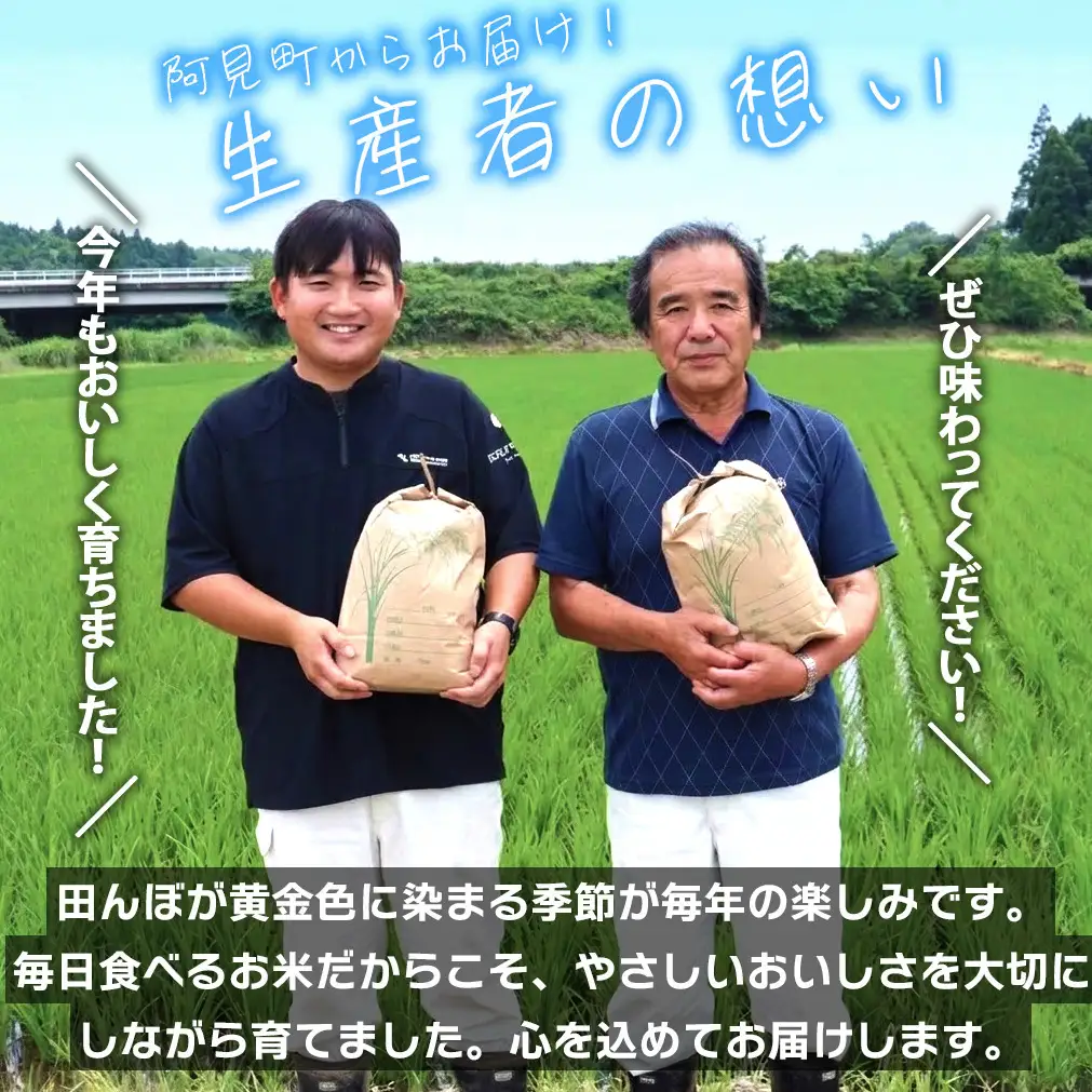 米 定期便 9ヶ月 コシヒカリ 精米 5kg 令和7年産 茨城県産 お米 こめ コメ ごはん 白米 こしひかり 茨城県産米 単一米 単一原料米 安心 安全 送料無料 国産 人気 数量限定 高評価（85-95）