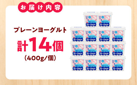 プレーンヨーグルト14個セット [AIBH034] ヨーグルト
