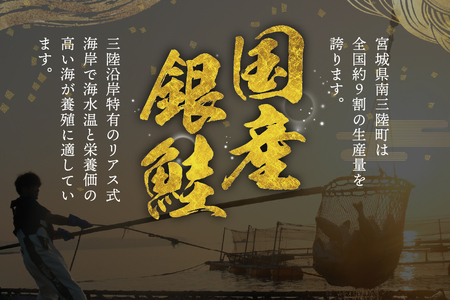 訳あり 三陸産 銀鮭 切身 約1.1kg [阿部長商店 宮城県 南三陸町 m304amh530008] 