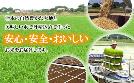 令和7年産 森のくまさん 20kg 株式会社羽根《60日以内に出荷予定(土日祝除く)》熊本県 長洲町 熊本県産 白米 精米 森くま もりくま 米