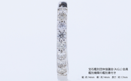 ARC-EN-CIEL PTダイヤピアス（計 0.20ct）