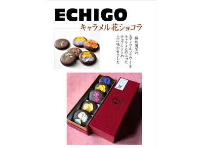 しょこら亭 ECHIGOキャラメル花ショコラ＆鯛チョコセット お菓子 菓子 スイーツ 贈答 1Z64015