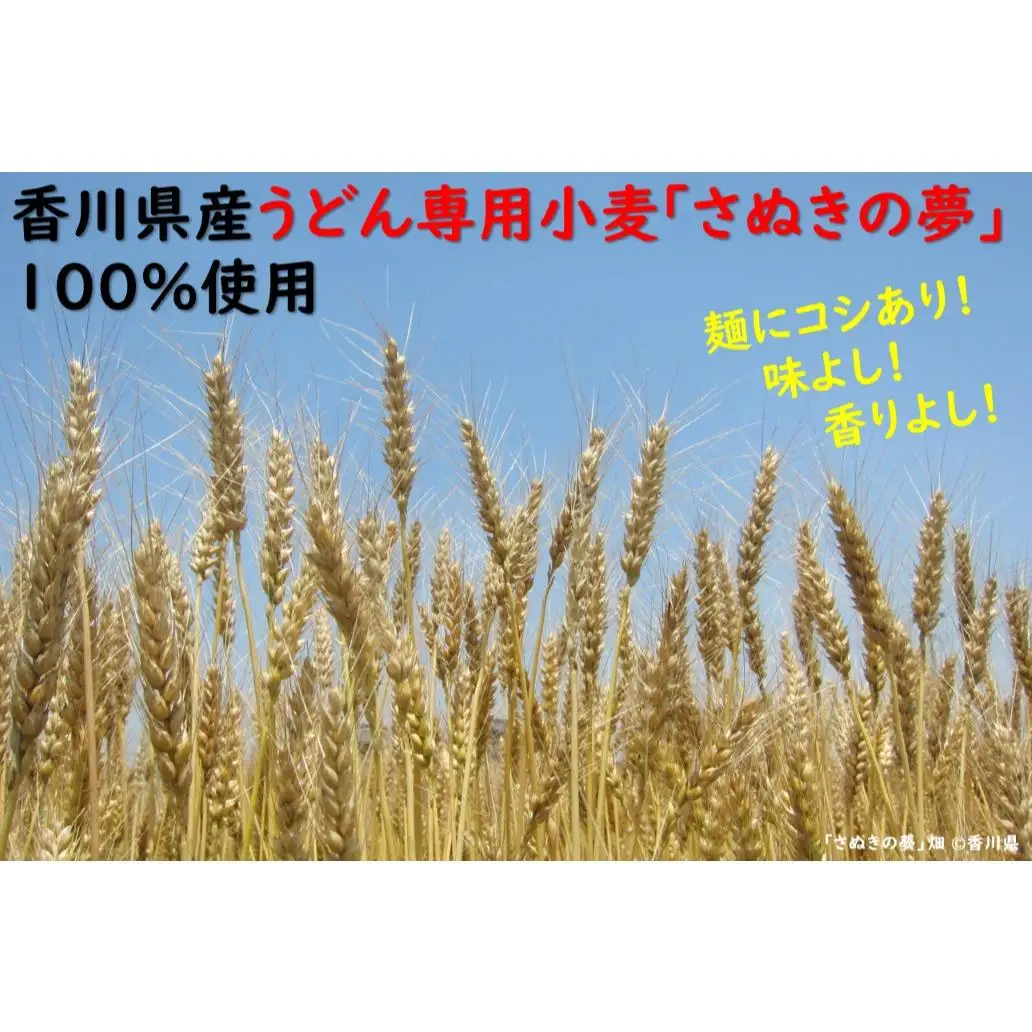 麺棒/　讃岐うどん　半生　20食セット